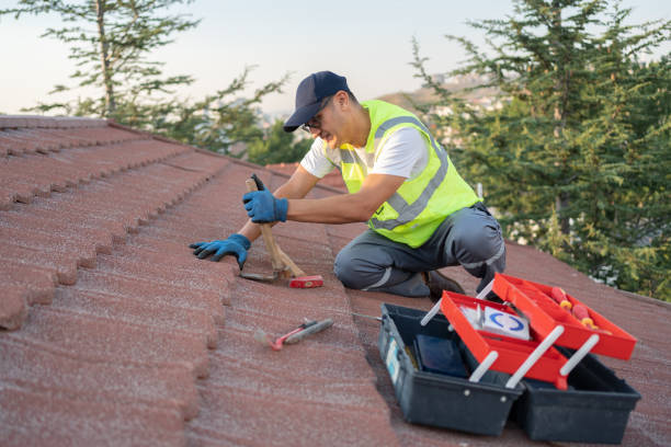 Best Chimney Flashing Repair  in USA